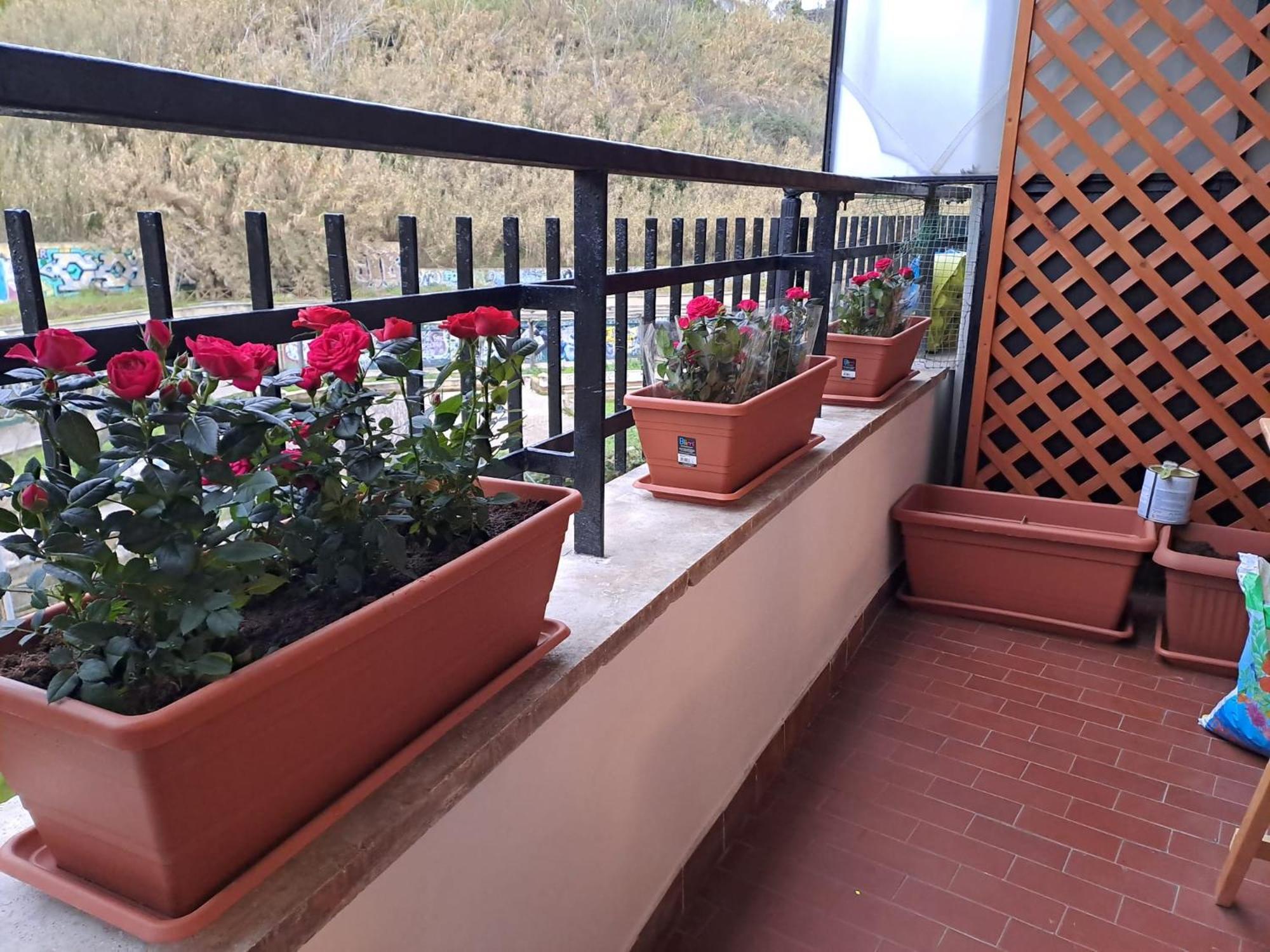 Apartamento Antonella Vatican *
